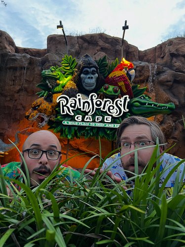 To celebrate the Big Dumb Anniversary of one year of Big Dumb Stuff, we went to one of our favorite places. Rainforest Cafe! ...