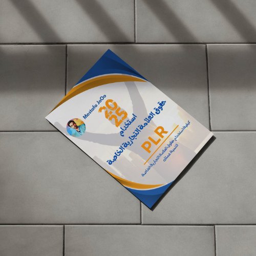إستخدام حقوق العلامة التجارية الخاصة لتنمية عملك - PLR product image (4)