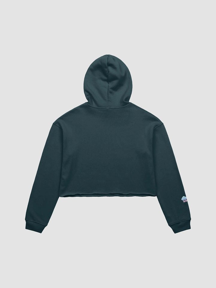 Gaytorade Boba Cropped Hoodie product image (12)
