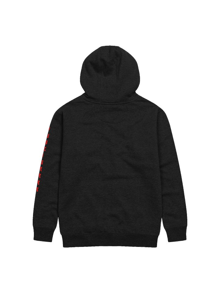 WCYD Hoodie product image (2)