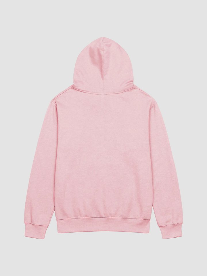 Patriotic Reflections Hoodie product image (2)