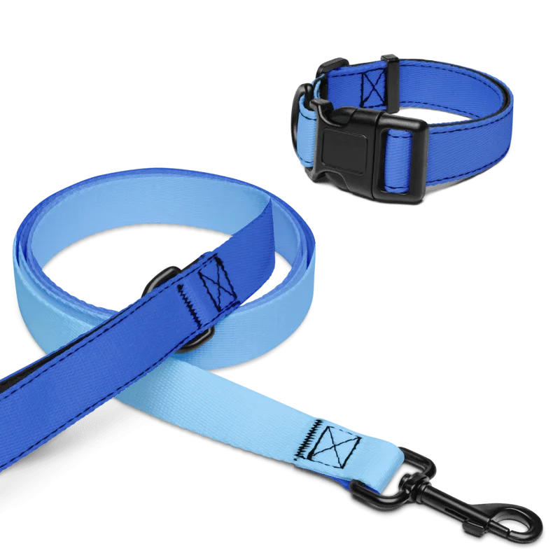 "Pet" Leash & Collar product image (1)