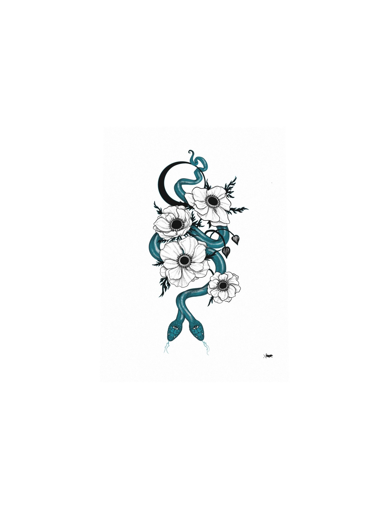 Anemone product image (11)