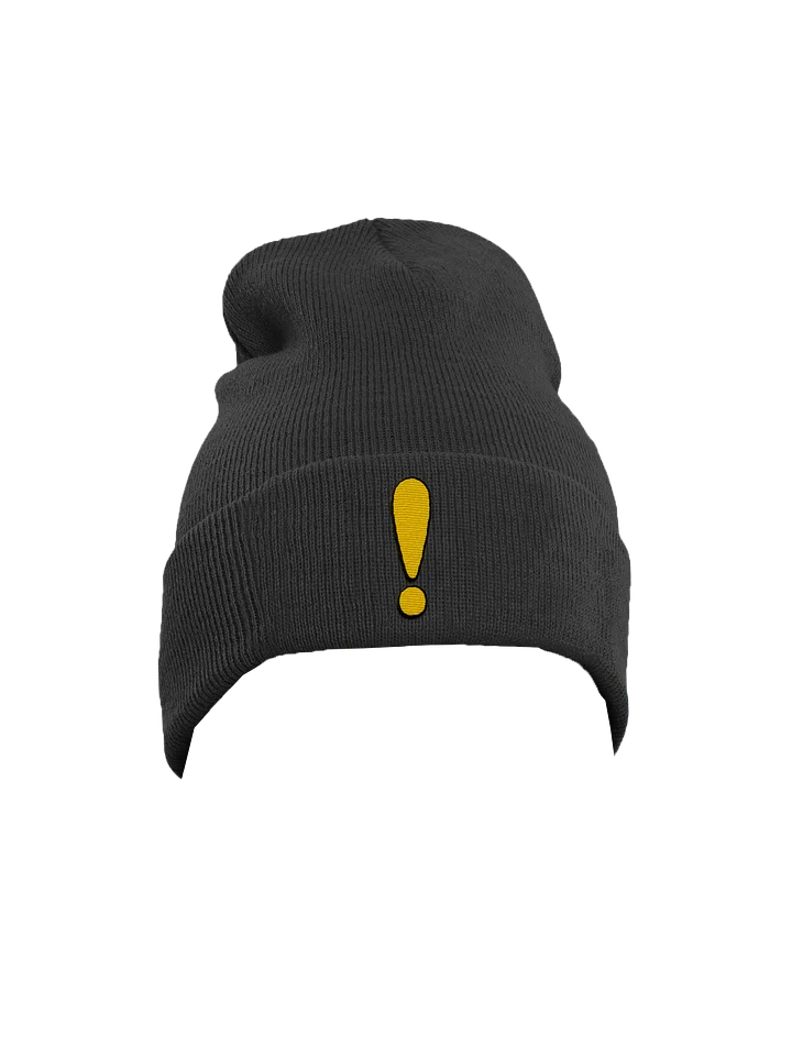 Questmark Beanie product image (1)