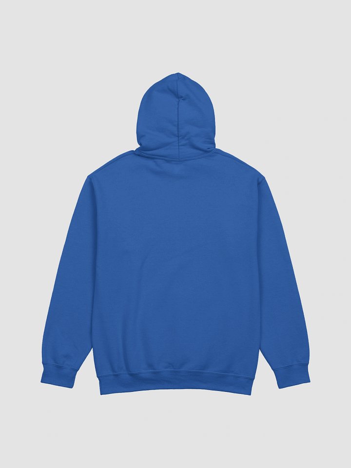Enlightenment Classic Hoodie product image (38)