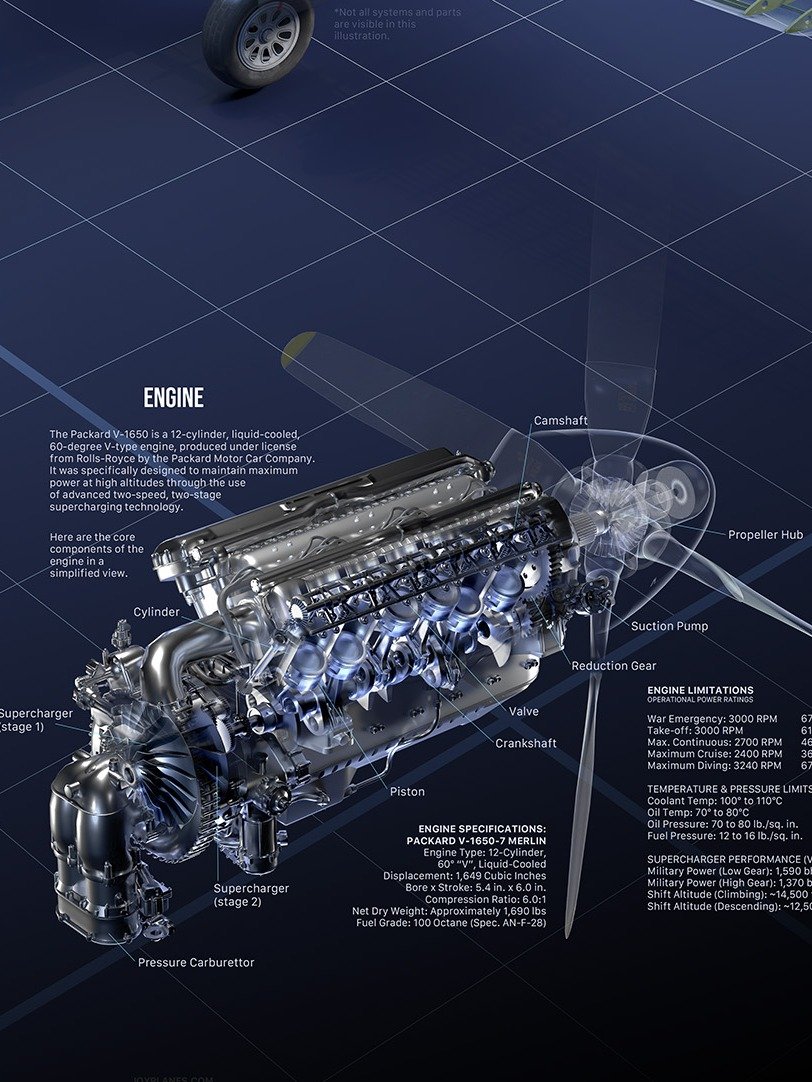 P-51 D Mustang Poster product image (6)