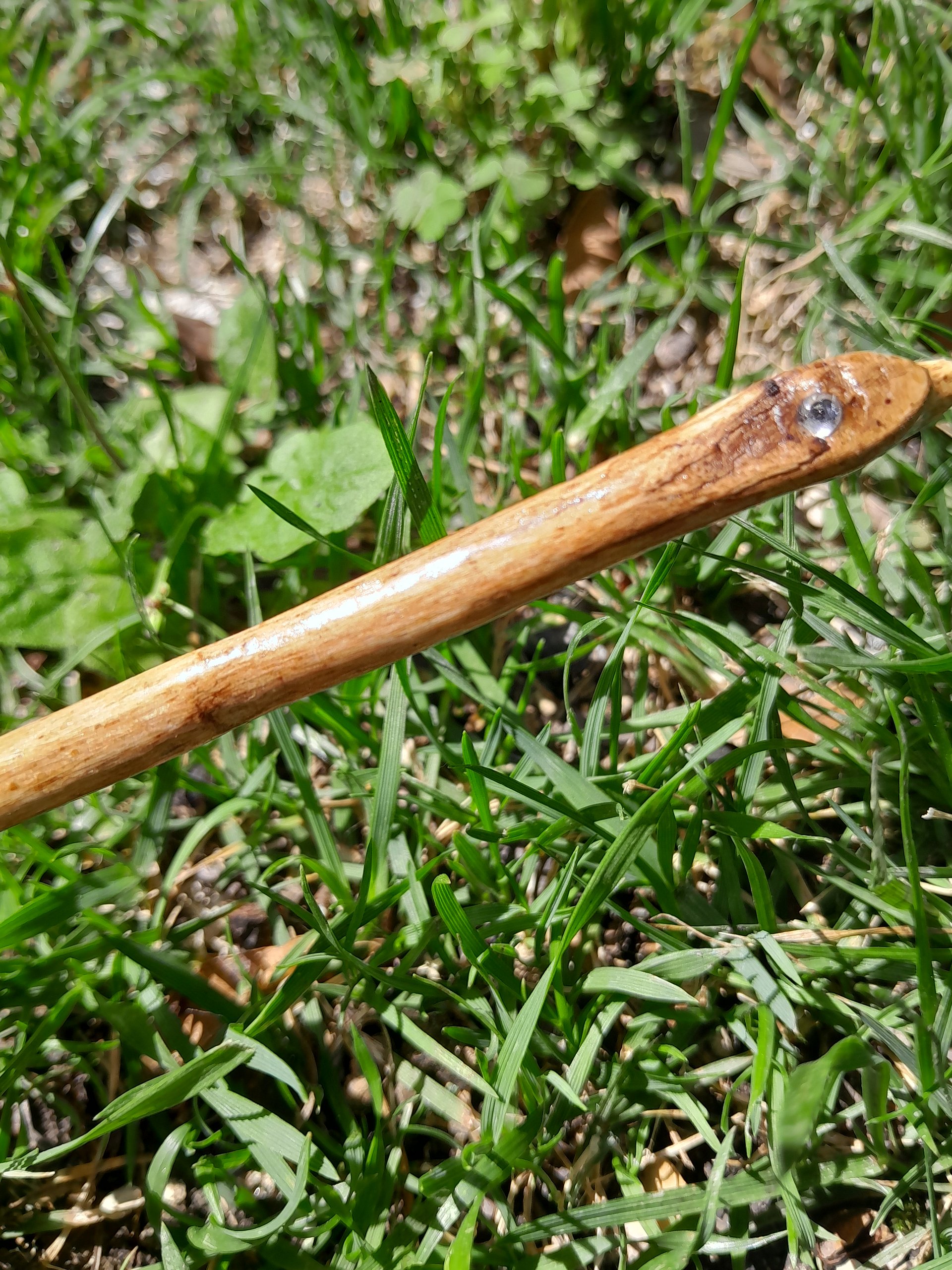 Professor's Wand product image (3)
