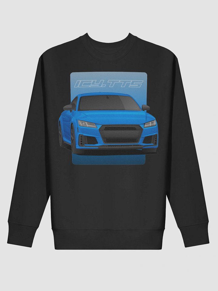 Sweatshirt - icy.tts product image (2)