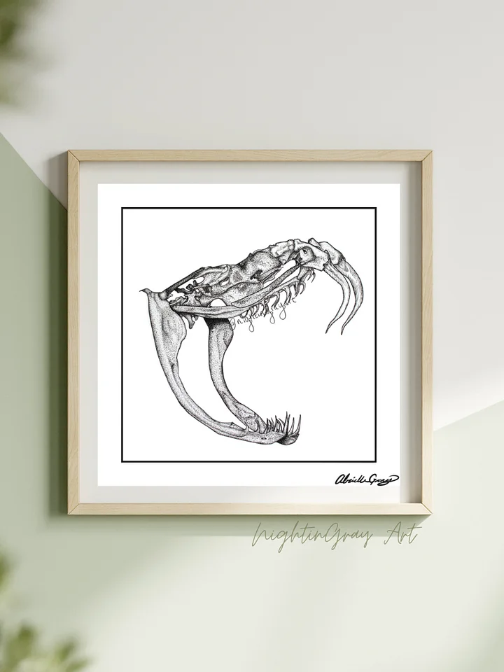 Rattlesnake Skull - Fine Art Print product image (1)