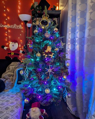 It's been hard to get into the Christmas spirit this year with the loss of Rudy. My tree always brings me joy though so I man...
