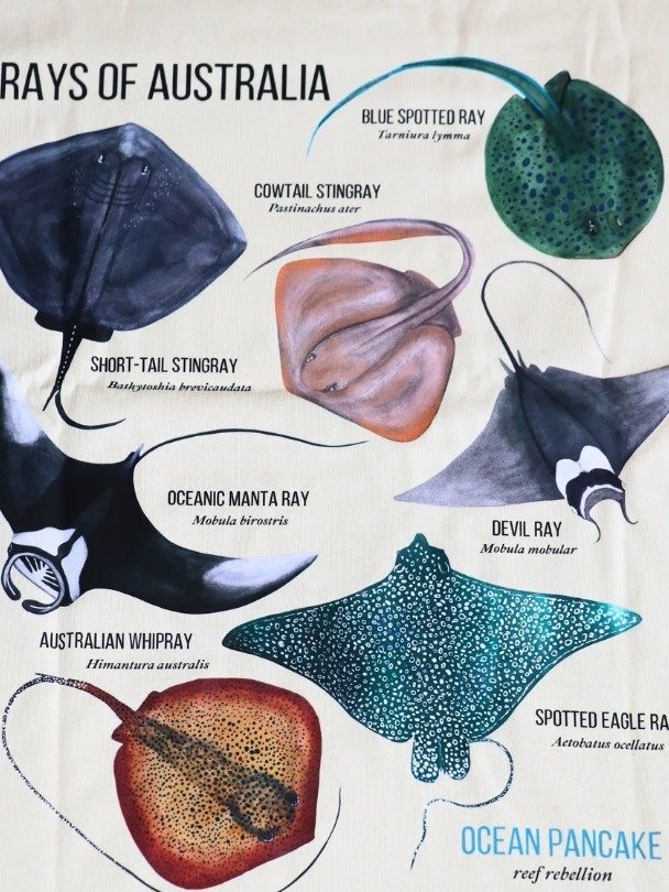 Rays of Australia Tee product image (5)