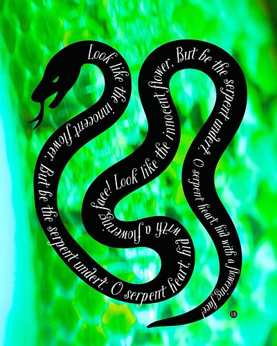 “Look like the innocent flower, But the serpent undert. O serpent heart, hid with a flowering face!” - Shakespeare 
Snake gra...