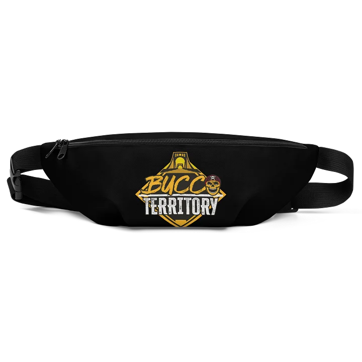 Fanny Pack product image (1)