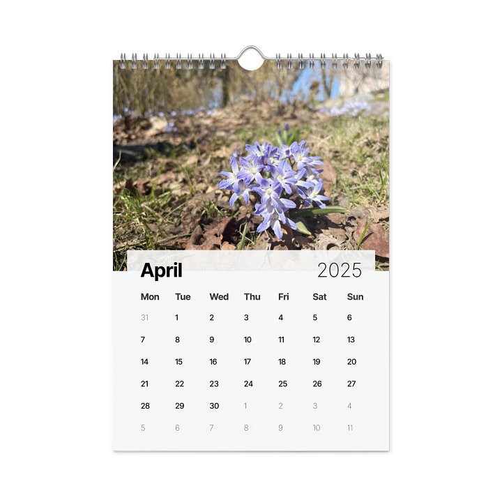 Golden Harvest: 2025 Mushroom Wall Calendar product image (1)