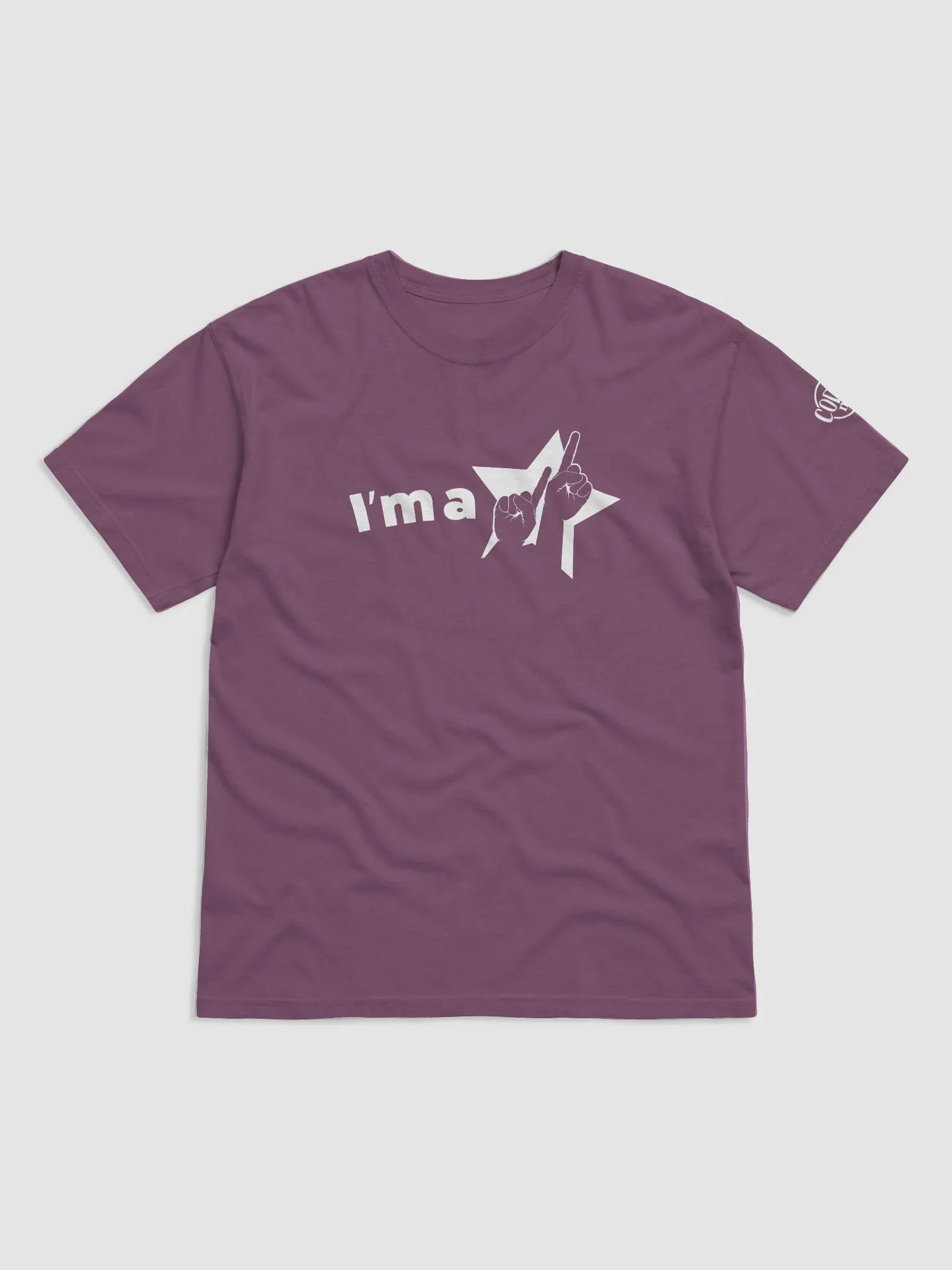 I'm a Star ASL Tee product image (3)