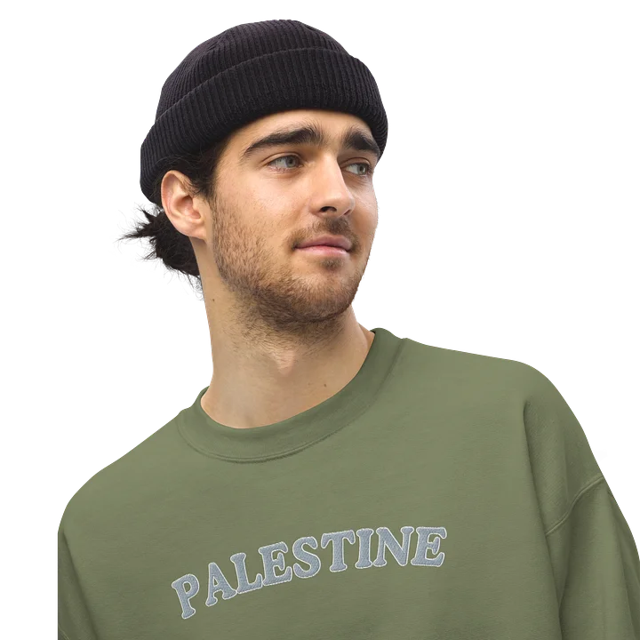 Palestine (From The River To The Sea) Crewneck Sweatshirt product image (2)