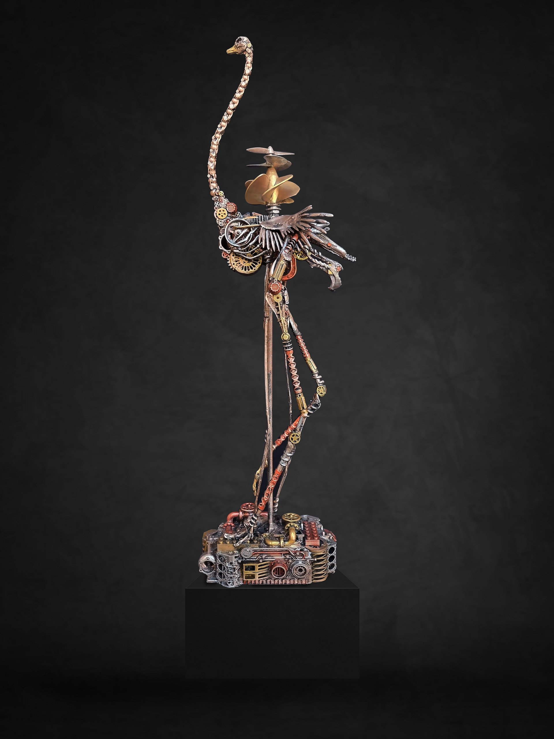 The Courier: Ostrich Structural Study | 535mm (21.1") product image (2)