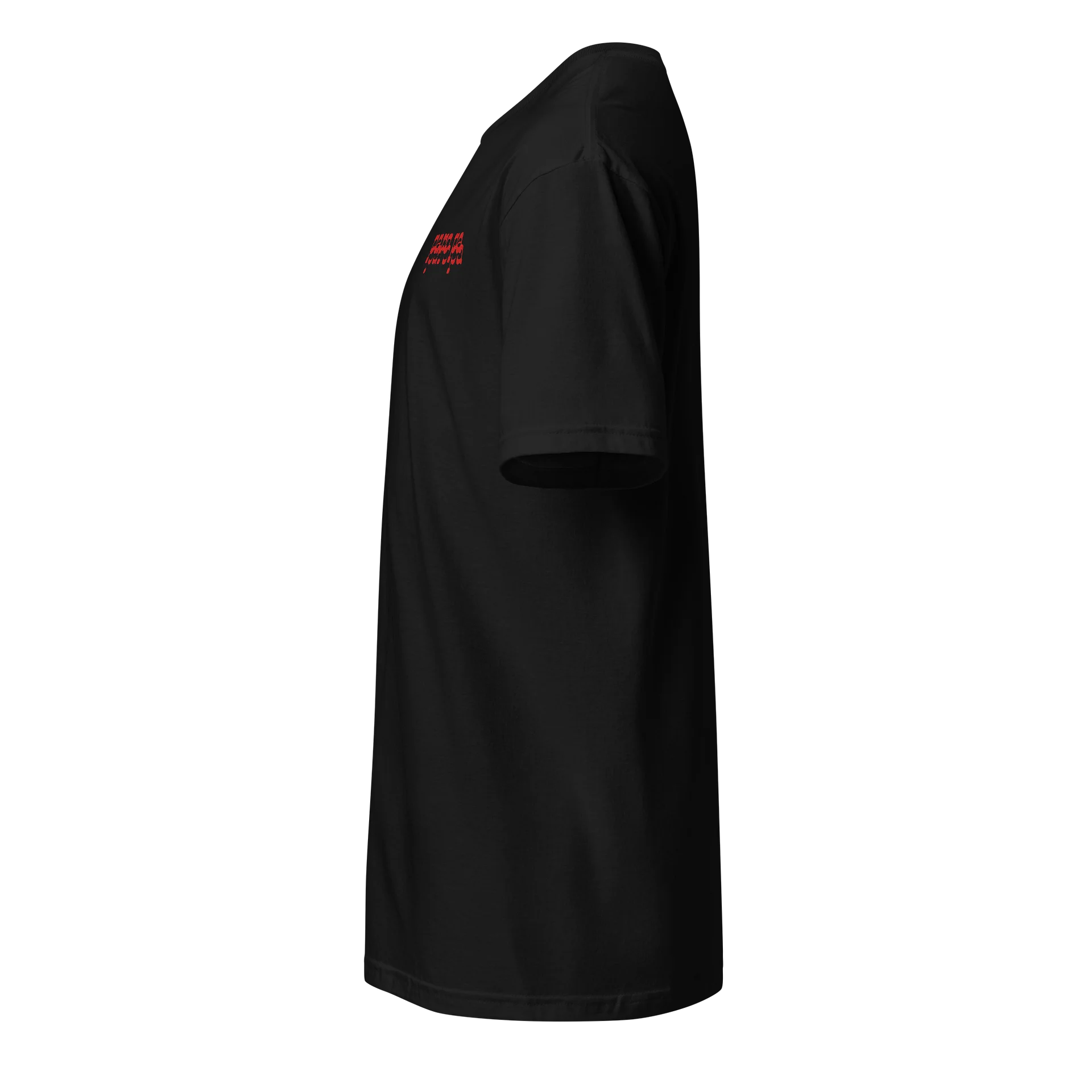 paro pa embroided shirt product image (4)