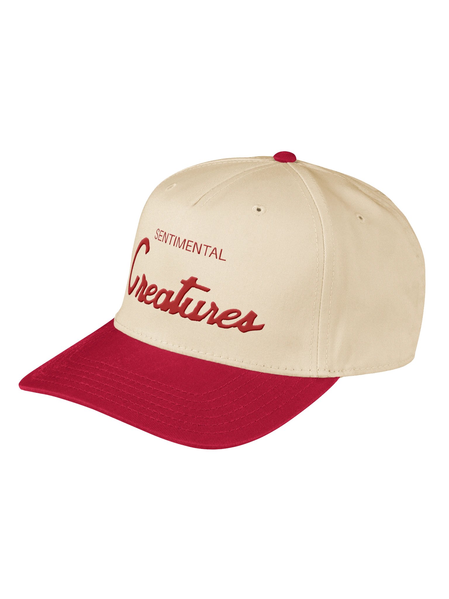 Embroidered Multi-Colored Script Hat product image (15)