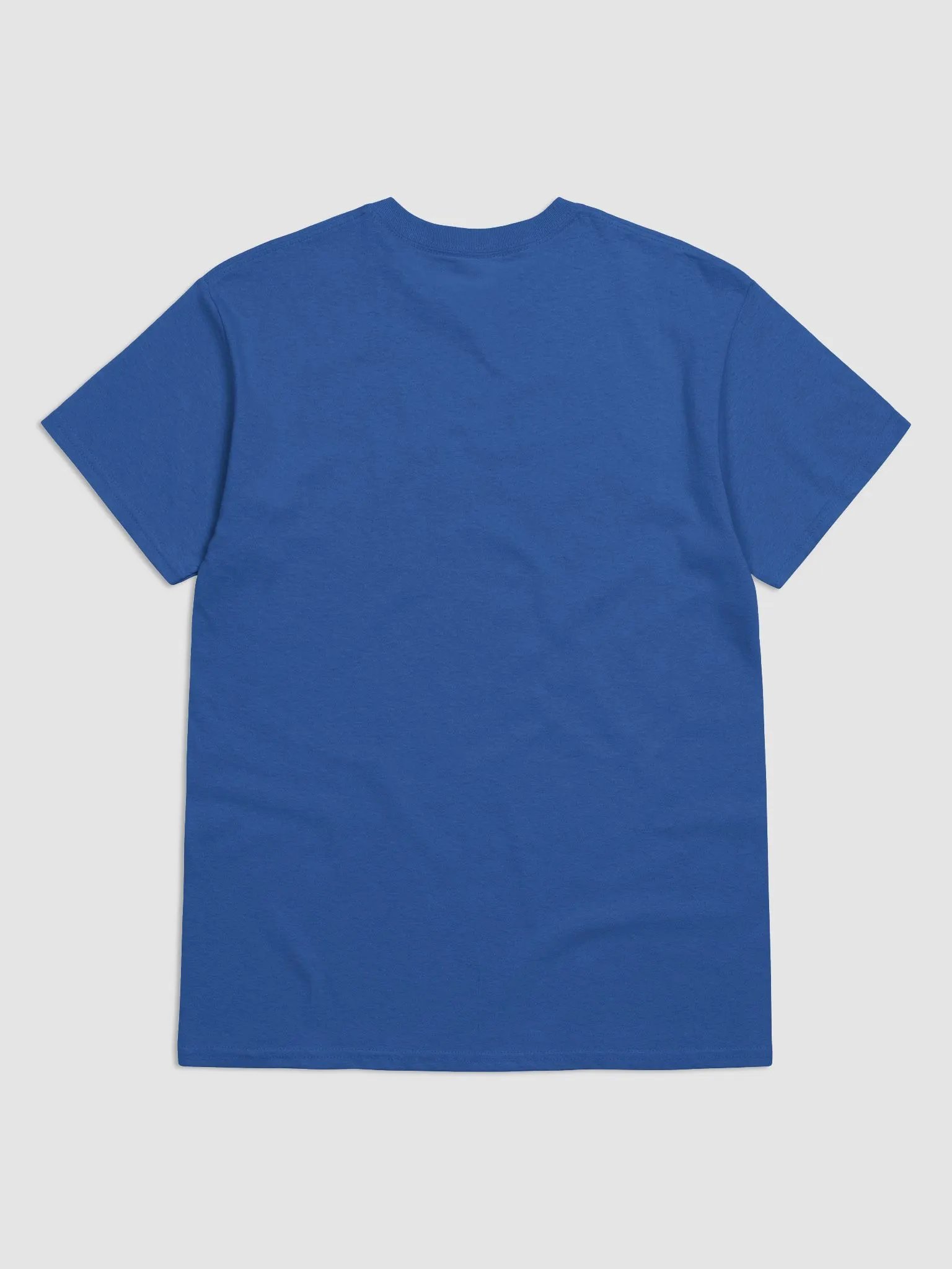 Pangery Heavy Weight T-Shirt product image (2)