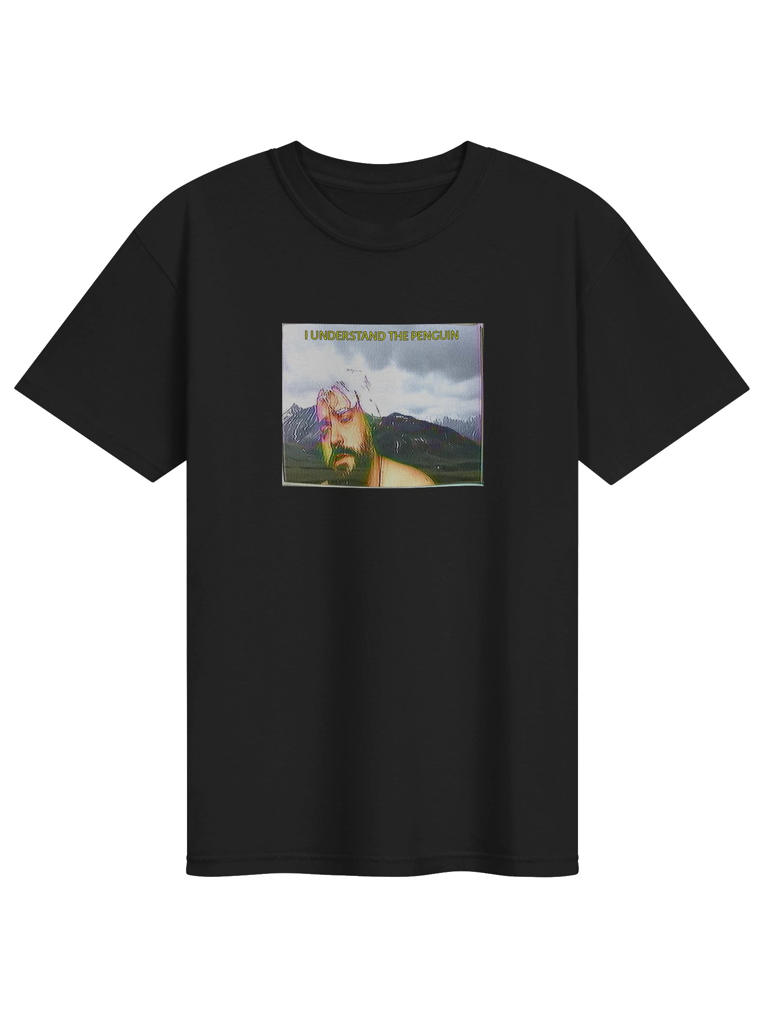I UNDERSTAND THE PENGUIN SHIRT product image (65)