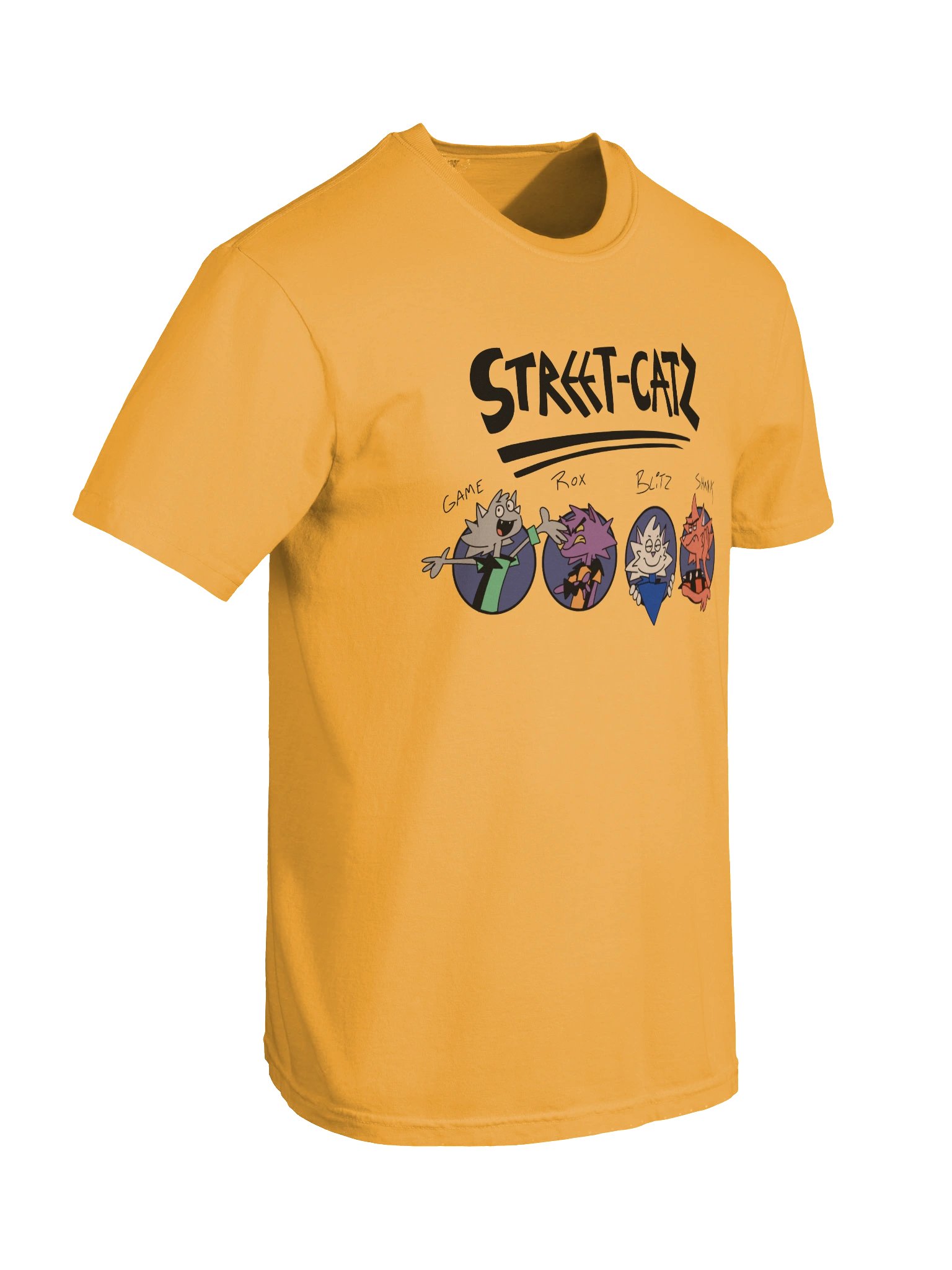 intro shirt product image (22)