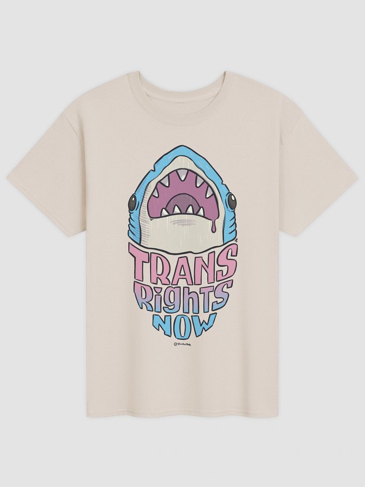 t-shirt : trans rights now product image (1)