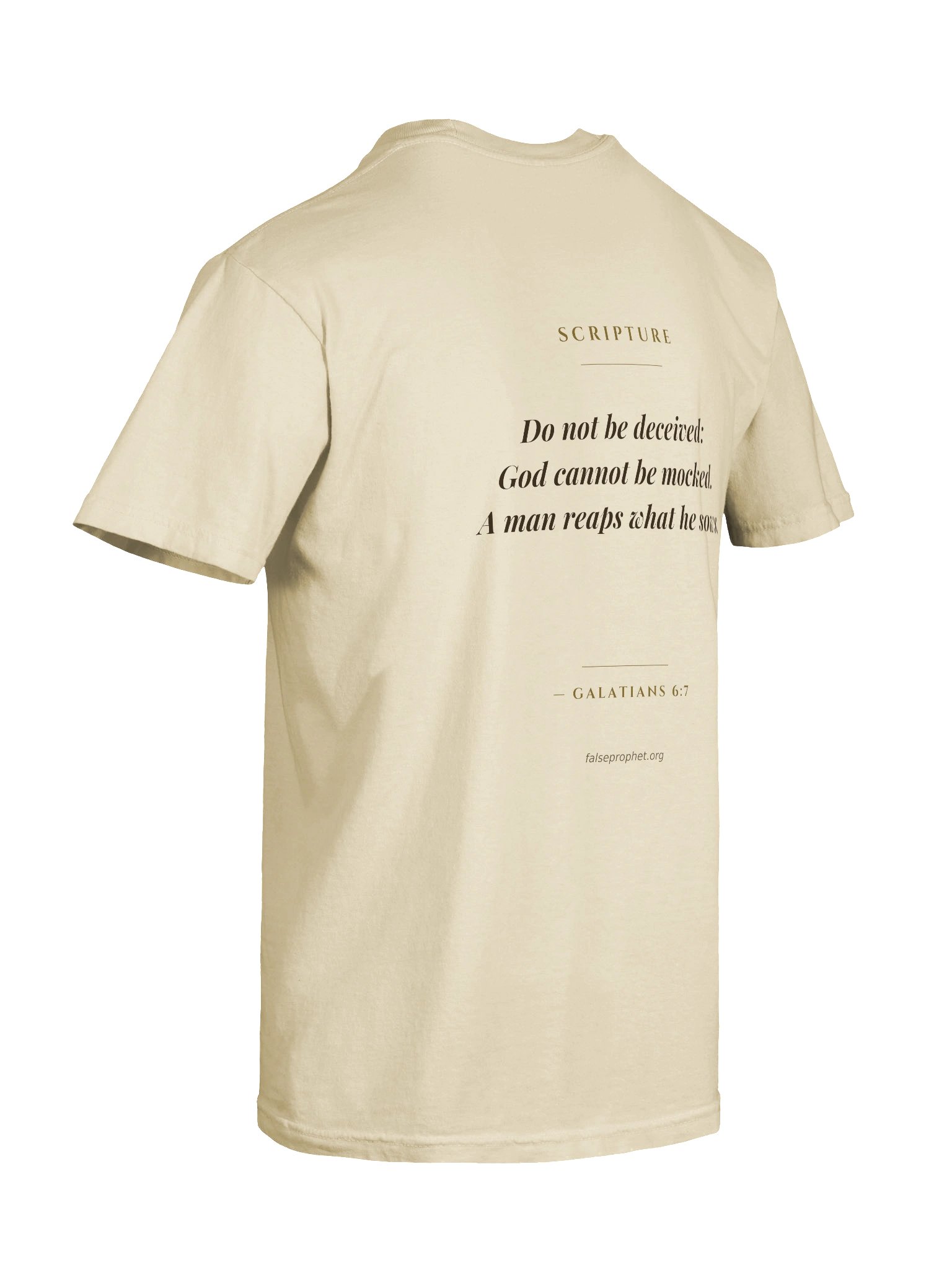 Galatians 6:7/Do Not Be Deceived T-Shirt (White) product image (8)