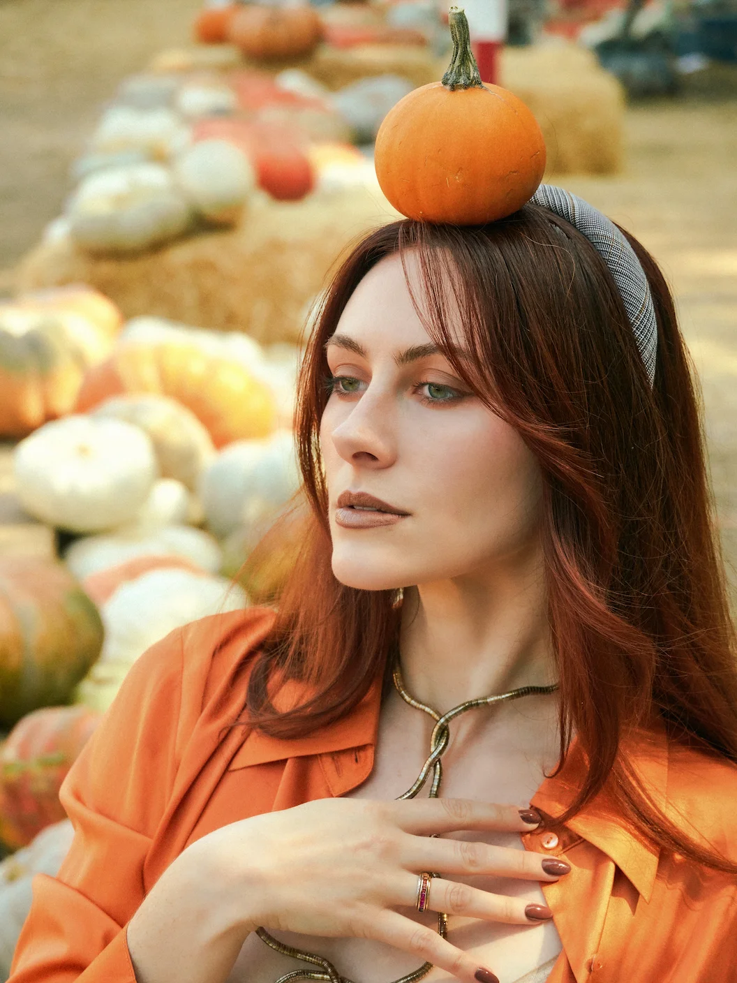 November 2024: Pumpkins, Autumn, Cornfields, oh my! product image (1)