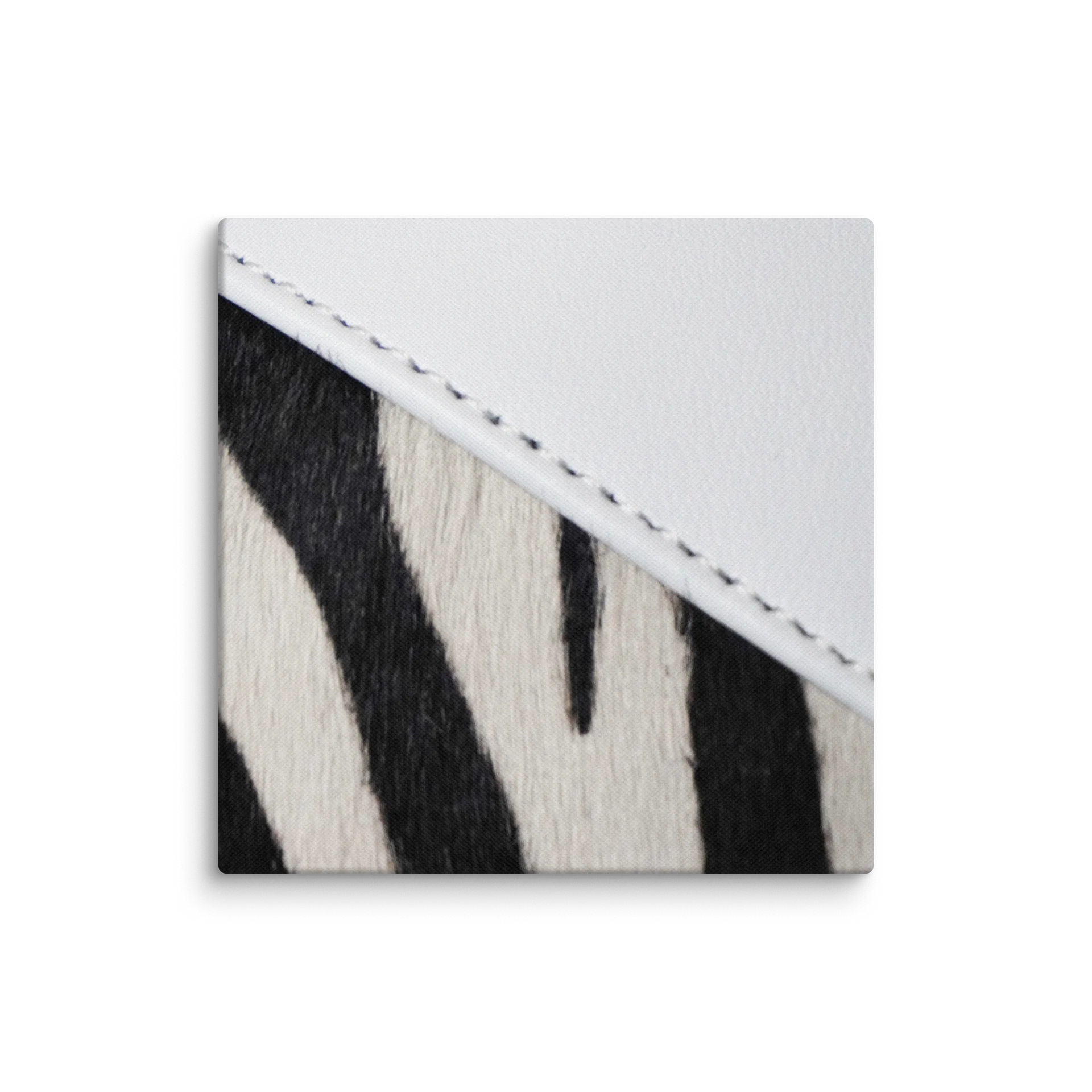 Zebra Chic Canvas Art product image (1)