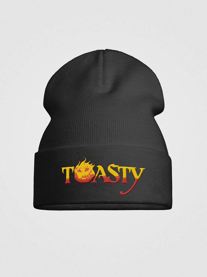 Toasty Beanie product image (4)