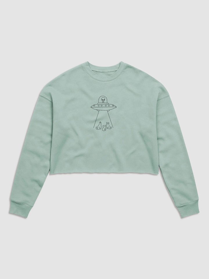 Beam Meows UFO Crop Sweatshirt product image (3)