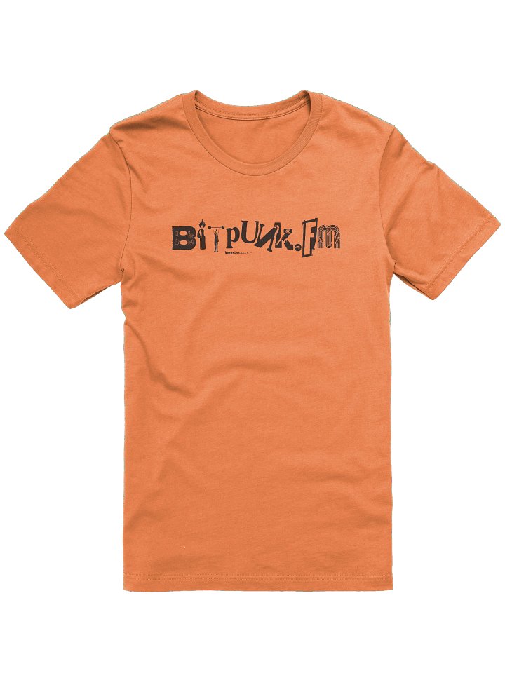 Bitpunk.fm product image (1)
