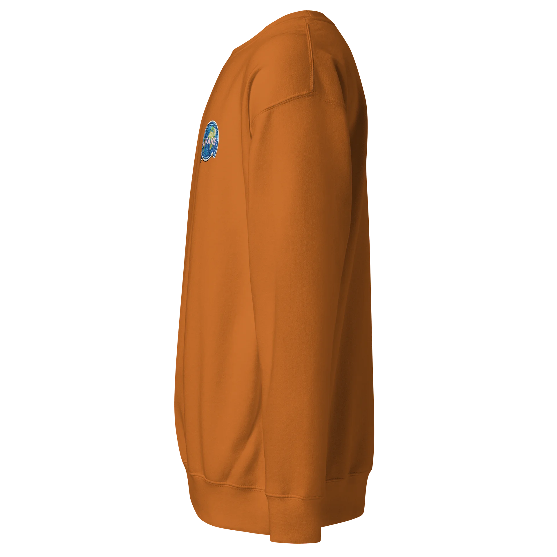 AWARE Patch Flat Sweatshirt product image (3)