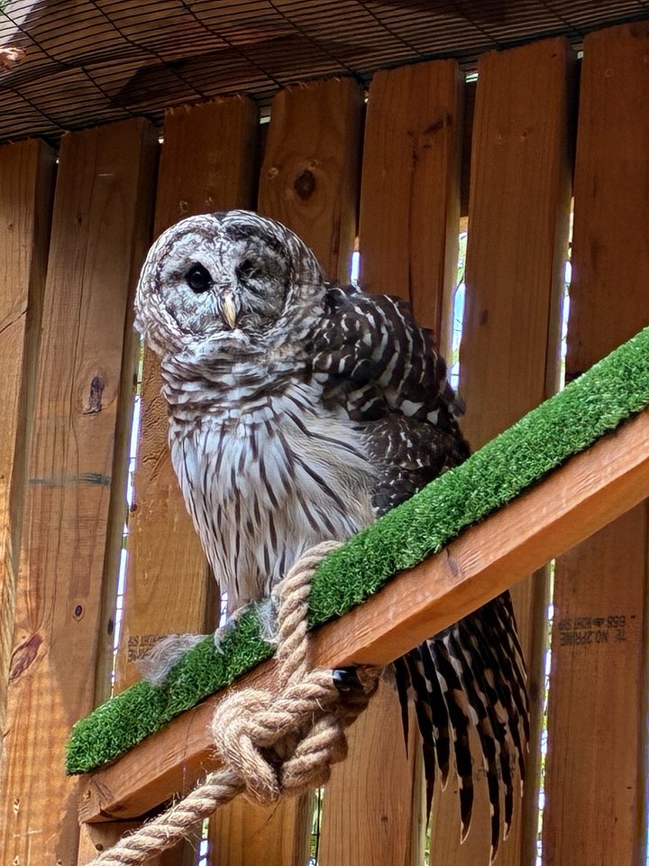 World Bird Sanctuary Gift Card product image (1)