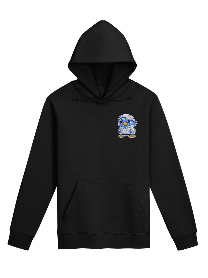 Kiiwi Embroidered Hoodie product image (1)