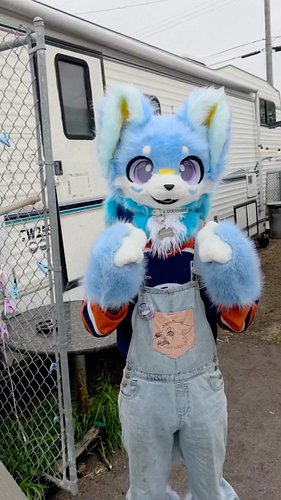 Don't worry, Runner's got this! He knew exactly what to do 🤣

#furry #furryfandom #furrycommunity #furrytiktok #funnyvideos