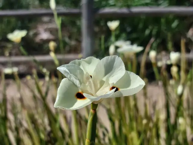 #natureseekers #escaped #quiet #flowerstagram 