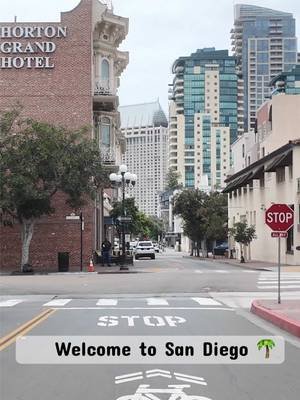 Welcome to San Diego 🌴#usa🇺🇸 #travel #sandiegolife #viralvideo #4k 