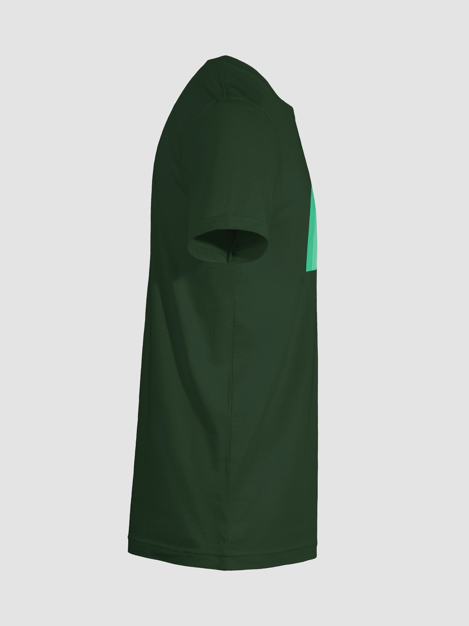 Jaguar E-Type Monochrome Rainbow (Green) product image (12)