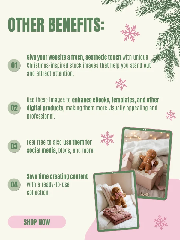 MRR/PLR Christmas Stock Photos product image (9)