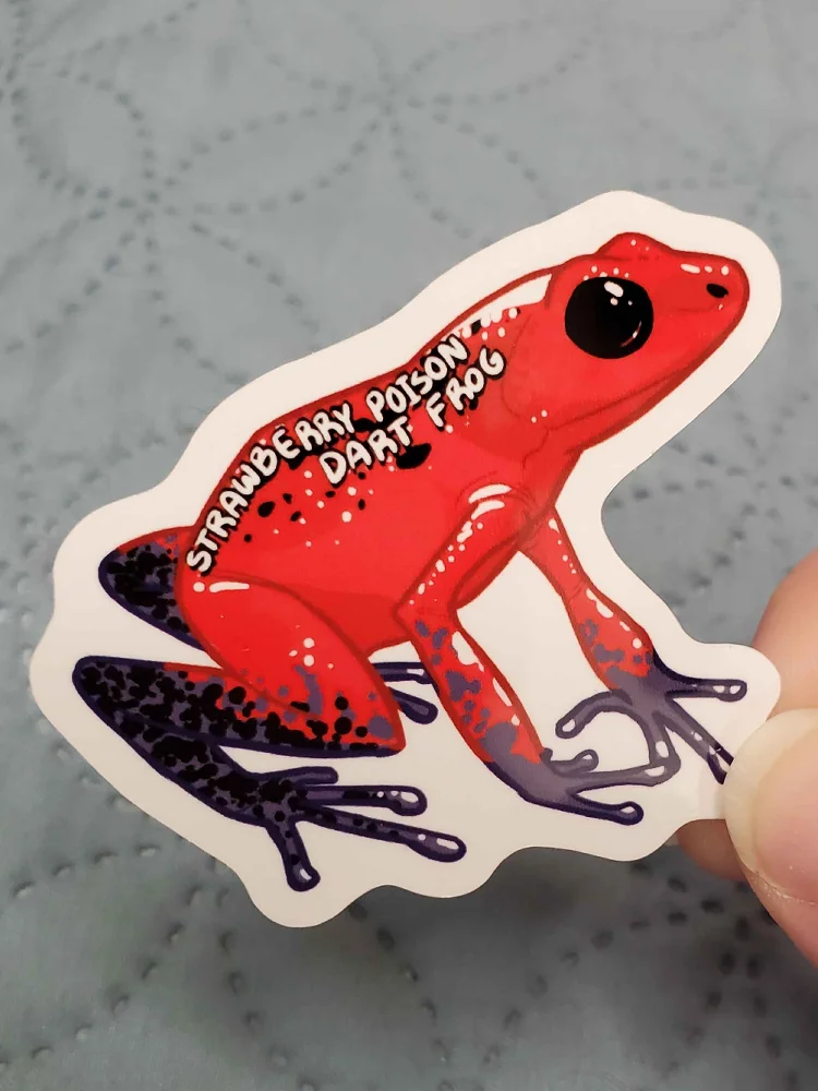 Strawberry Poison Dark Frog Sticker product image (1)