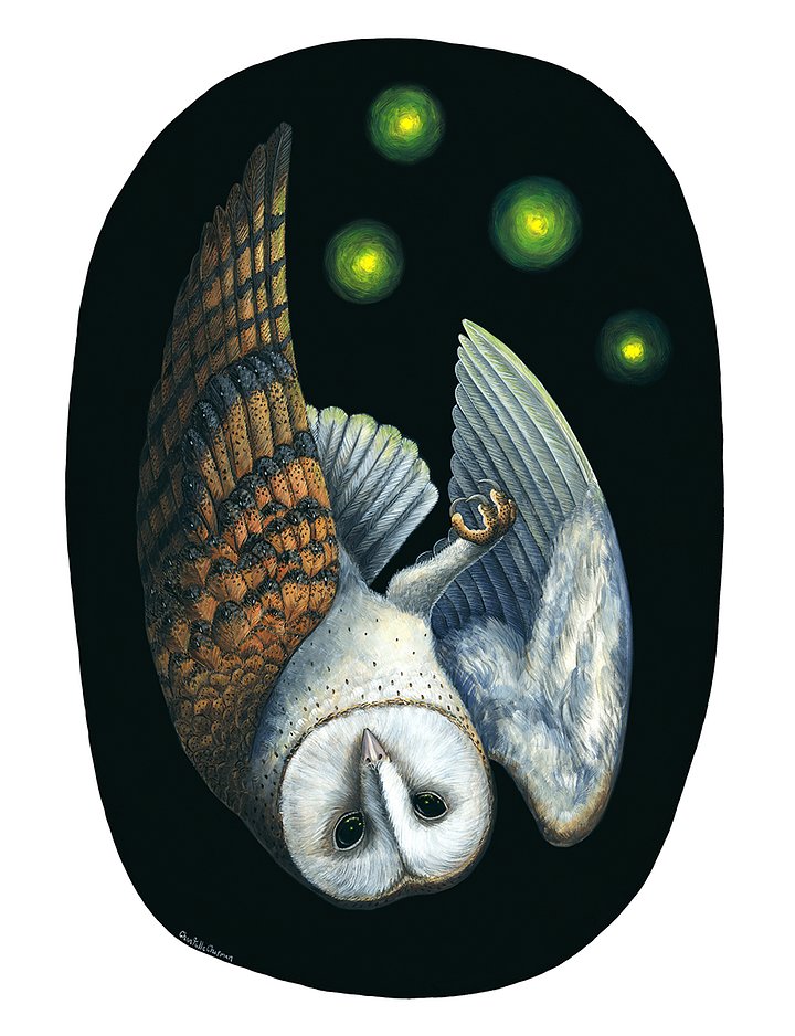 Will-O'-the-Wisp (Barn Owl) - Art Print product image (1)