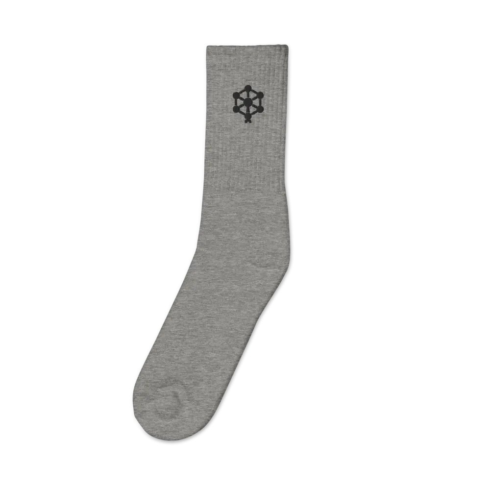 RB Embroidered Socks in Gray product image (1)