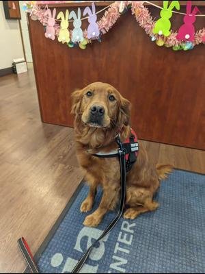 #therapydog work is something that this amazing #huntingdog is excellent at. He brings so many smiles to these people who can no longer have dogs of their own.