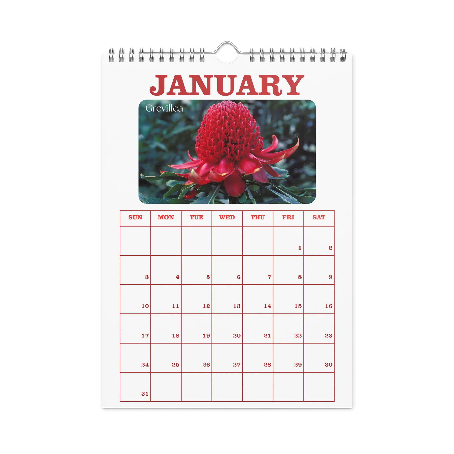 2027 - PRIDE WITH AUSTRALIAN NATIVE FLORA - Wall Calendar product image (6)