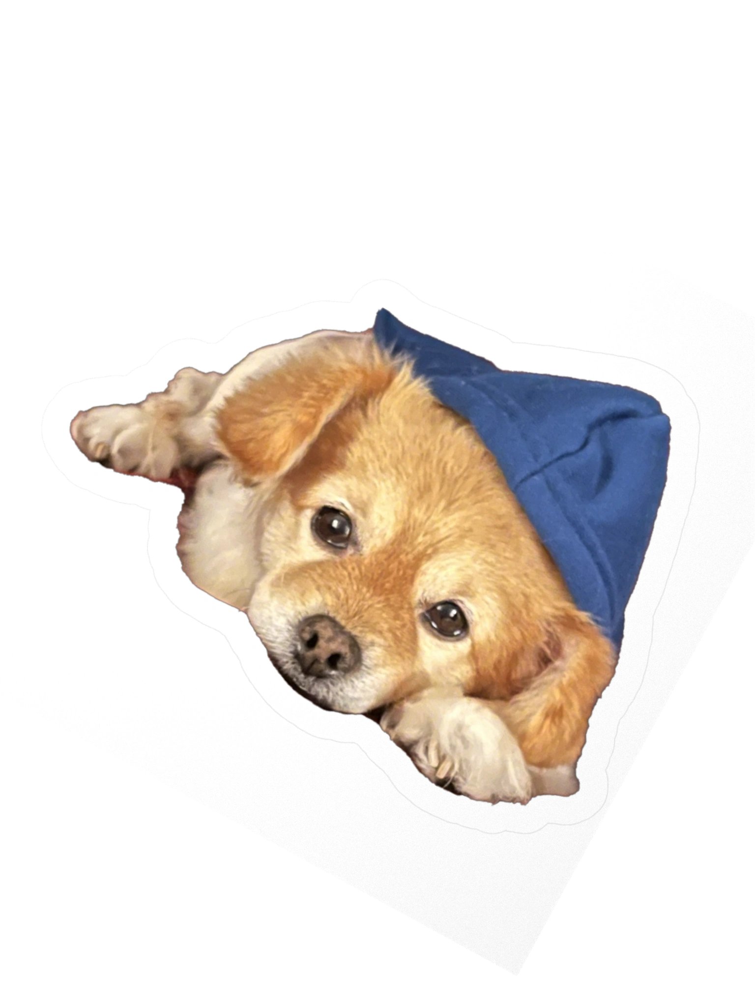 Youre a Wizard Harry product image (6)