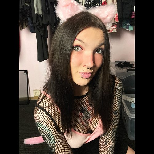 Meow meow meow? MRRREOW! 💛
•
Jede Woche live auf Twitch: Dienstag, Donnerstag, Freitag und Samstag! Änderungen werden auf Ins...