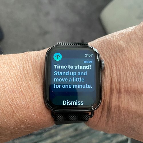 I love when the watch makes me stop walking to tell me to stand up 🤣🤣⌚