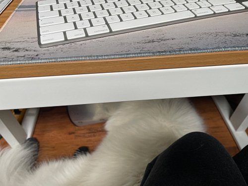 This week on (under?) my desk: 
- my VIP newsletter is going out tomorrow (If you're not on my VIP list, comment 